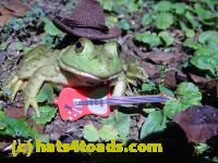/home//u458753944/public_html/sourcegallery////////////////////////Frogs/Bullfrogs 2020-09 Upper Merion/P9280727.JPG